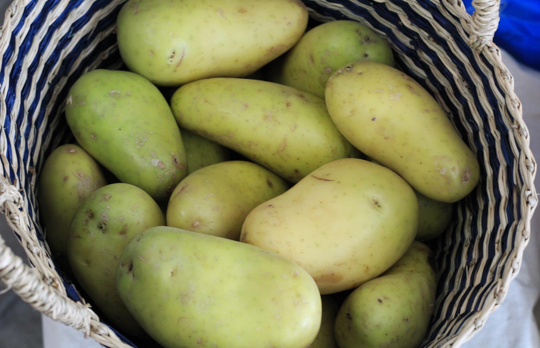 Green potatoes